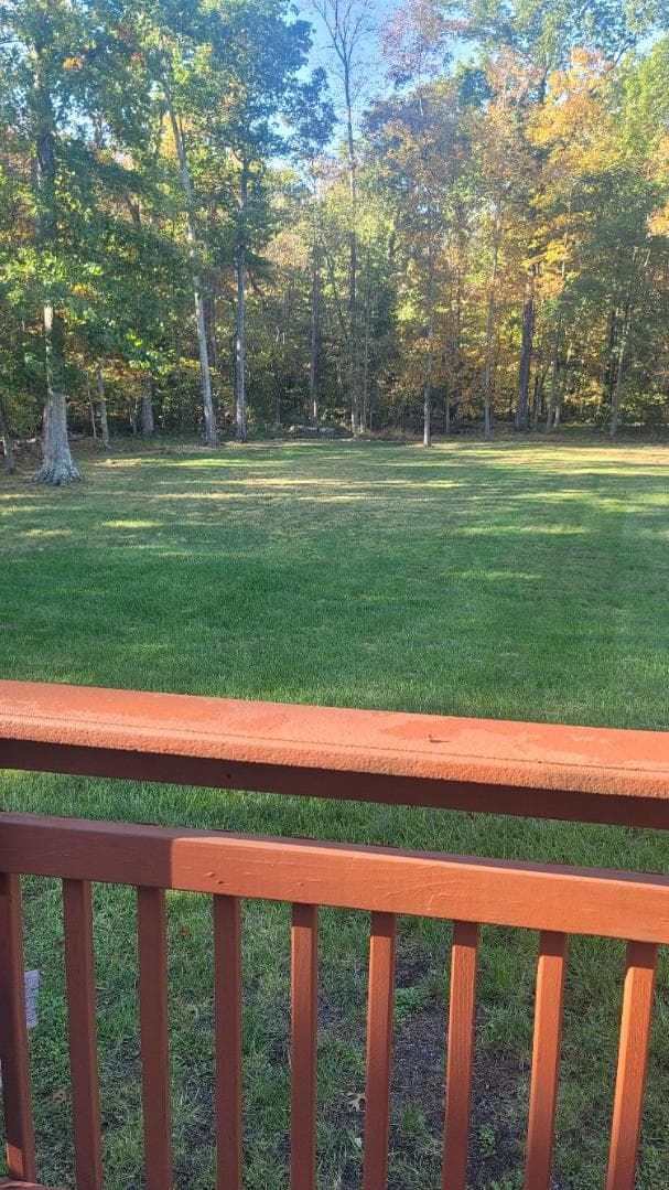 11358 Whipkey Drive photo 29