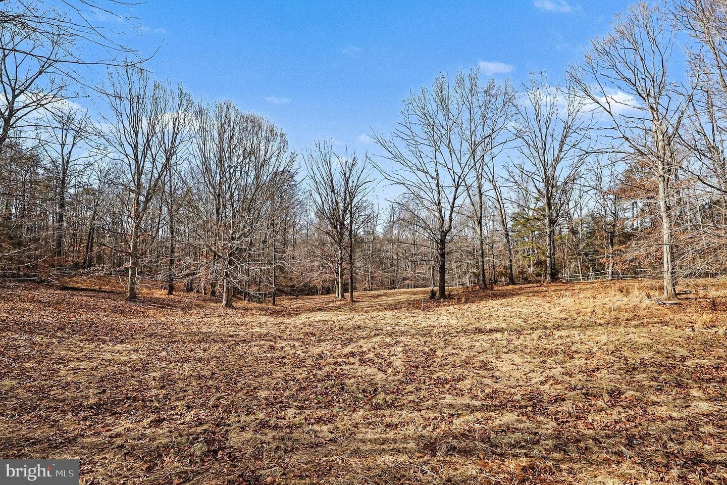 8318 Diamond Hill Road photo 75