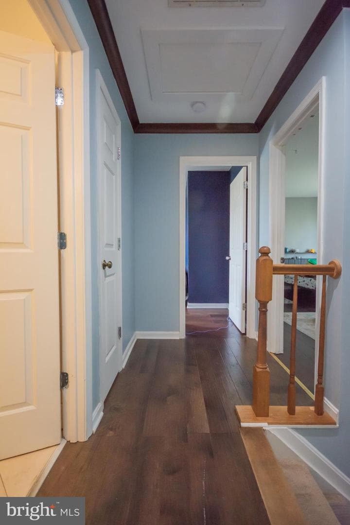 6867 Maplewood Drive photo 44