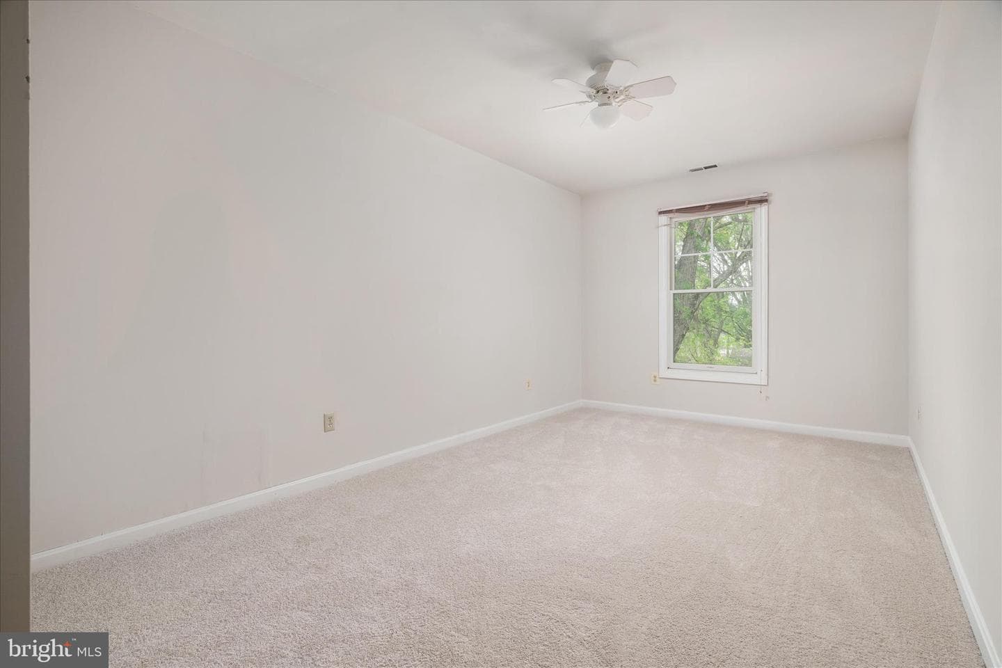 3961 Rectortown Road photo 22