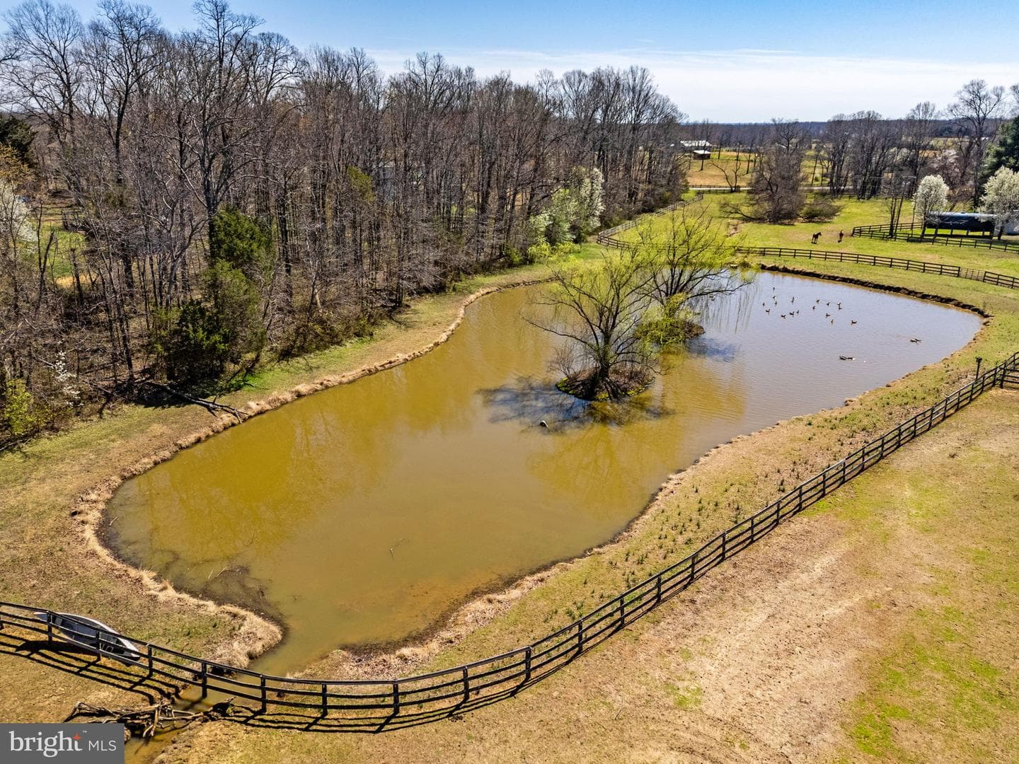 7453 Opal Road photo 48