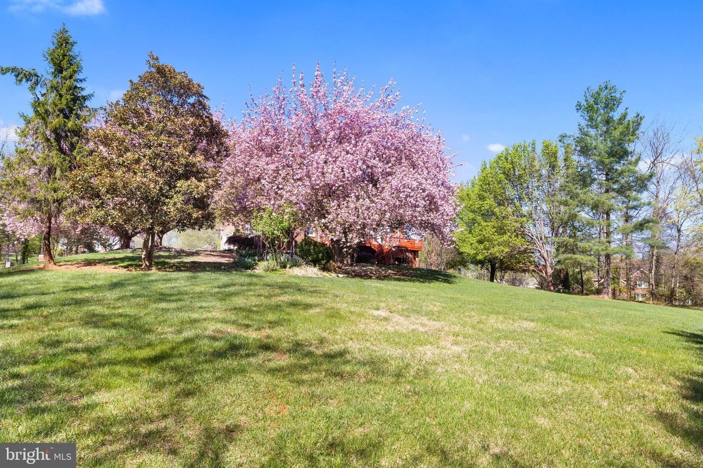 7573 Fusilier Drive photo 77