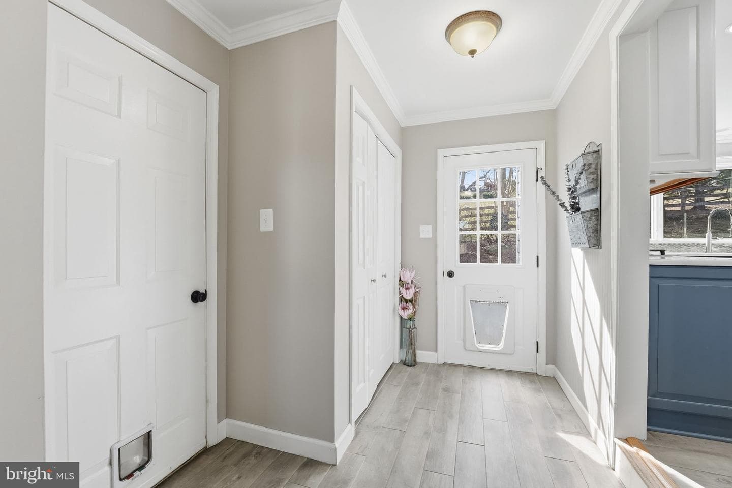 114 Erin Drive photo 67