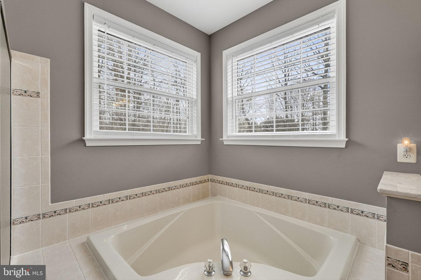 6165 Mint Springs Drive photo 38