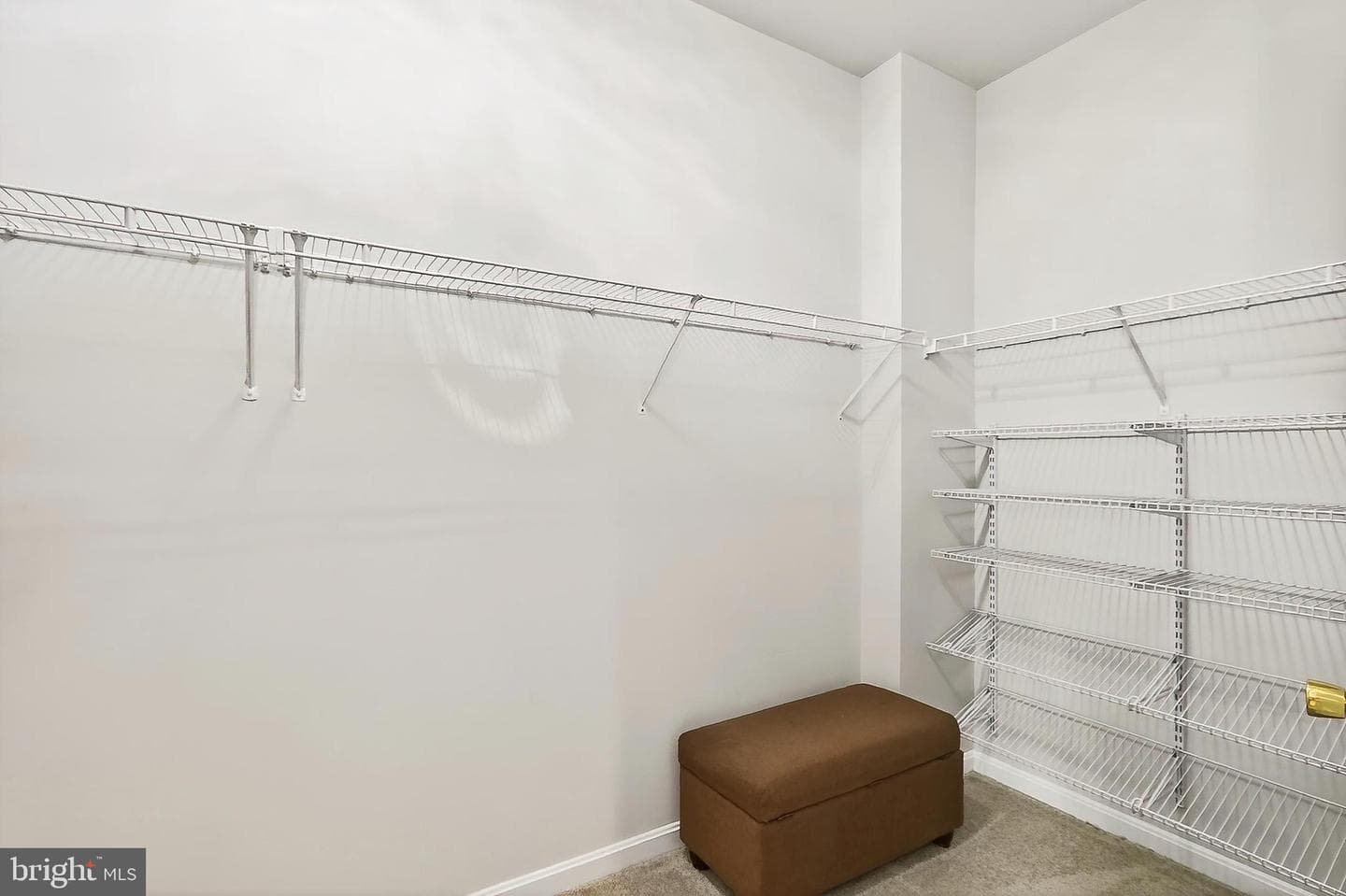 5548 Eiseley Court photo 50