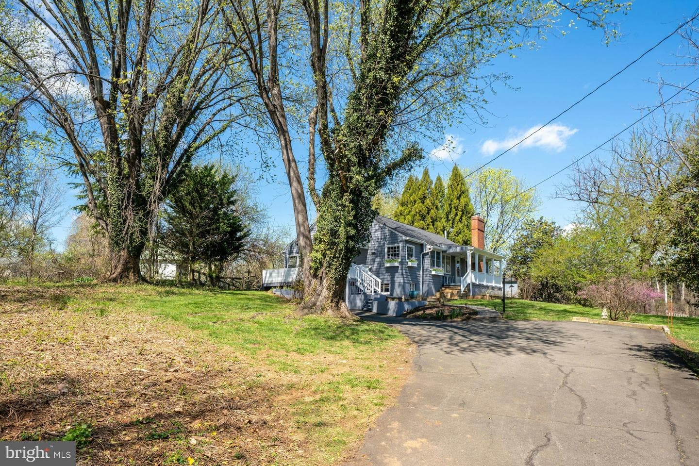 221 Mockingbird Lane photo 46