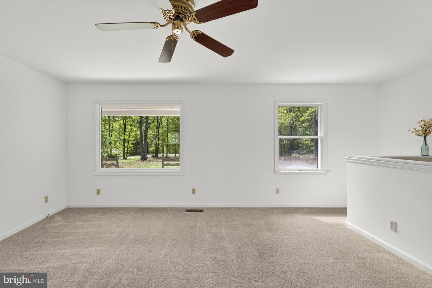 13047 Elk Run Road photo 49