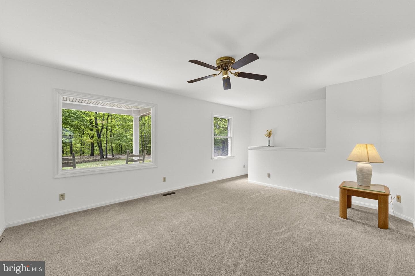 13047 Elk Run Road photo 52