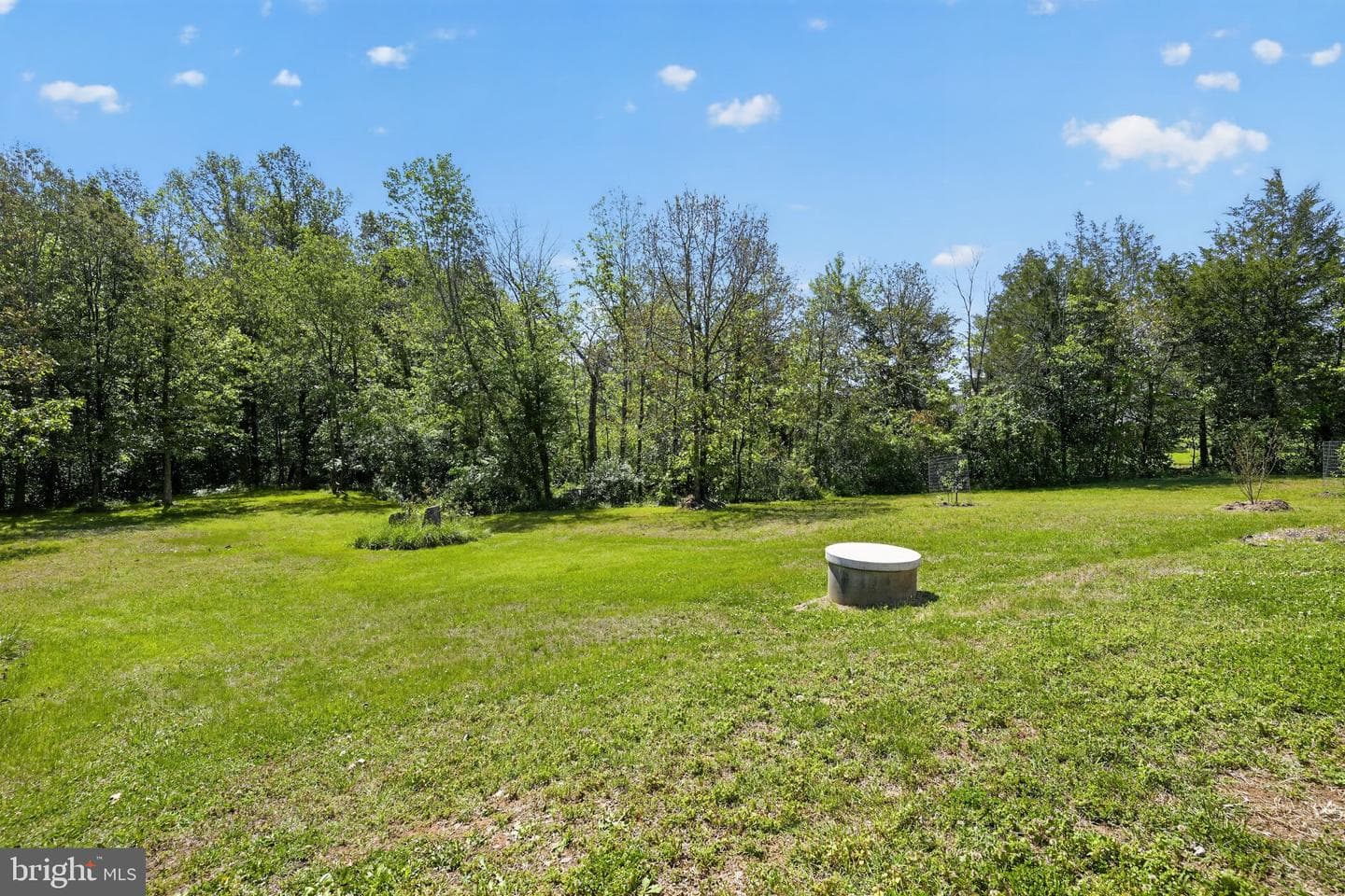 8427 Springs Way Place photo 60