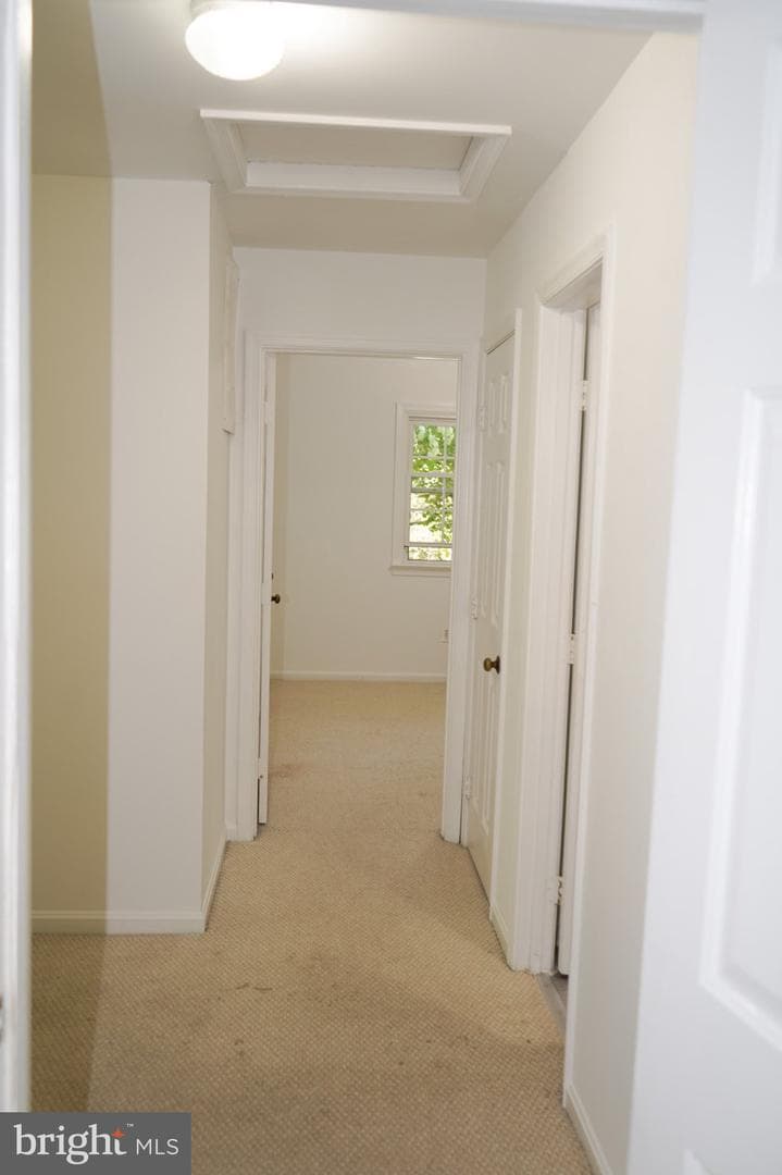 6990 Ivy Hill Drive photo 15