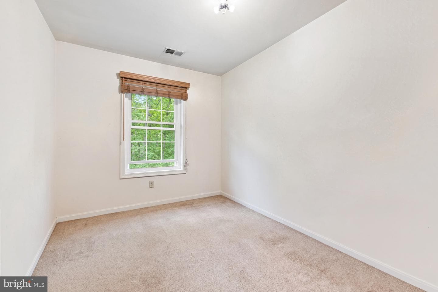 5099 Courtneys Corner Road photo 22