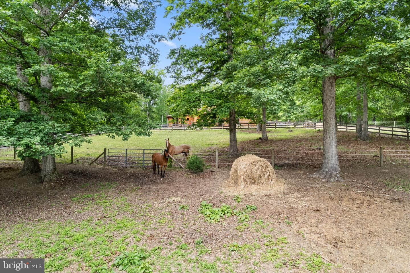 5099 Courtneys Corner Road photo 50