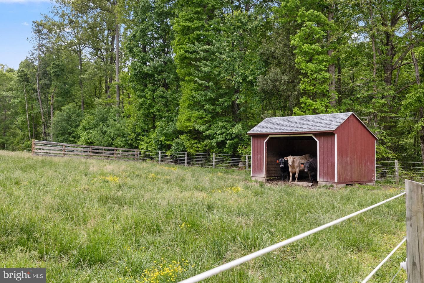 5099 Courtneys Corner Road photo 58