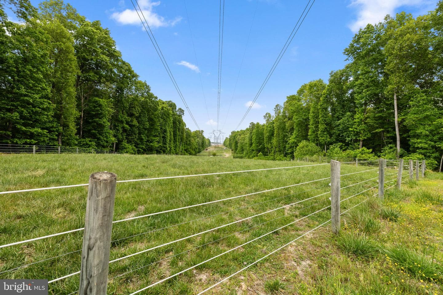 5099 Courtneys Corner Road photo 60