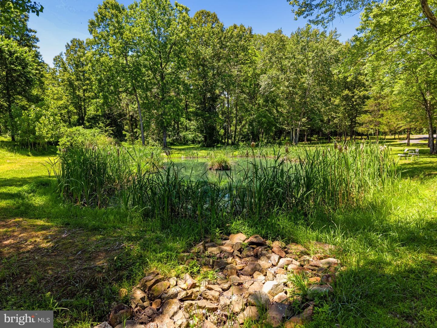 10409 Lee'S Mill Rd photo 55
