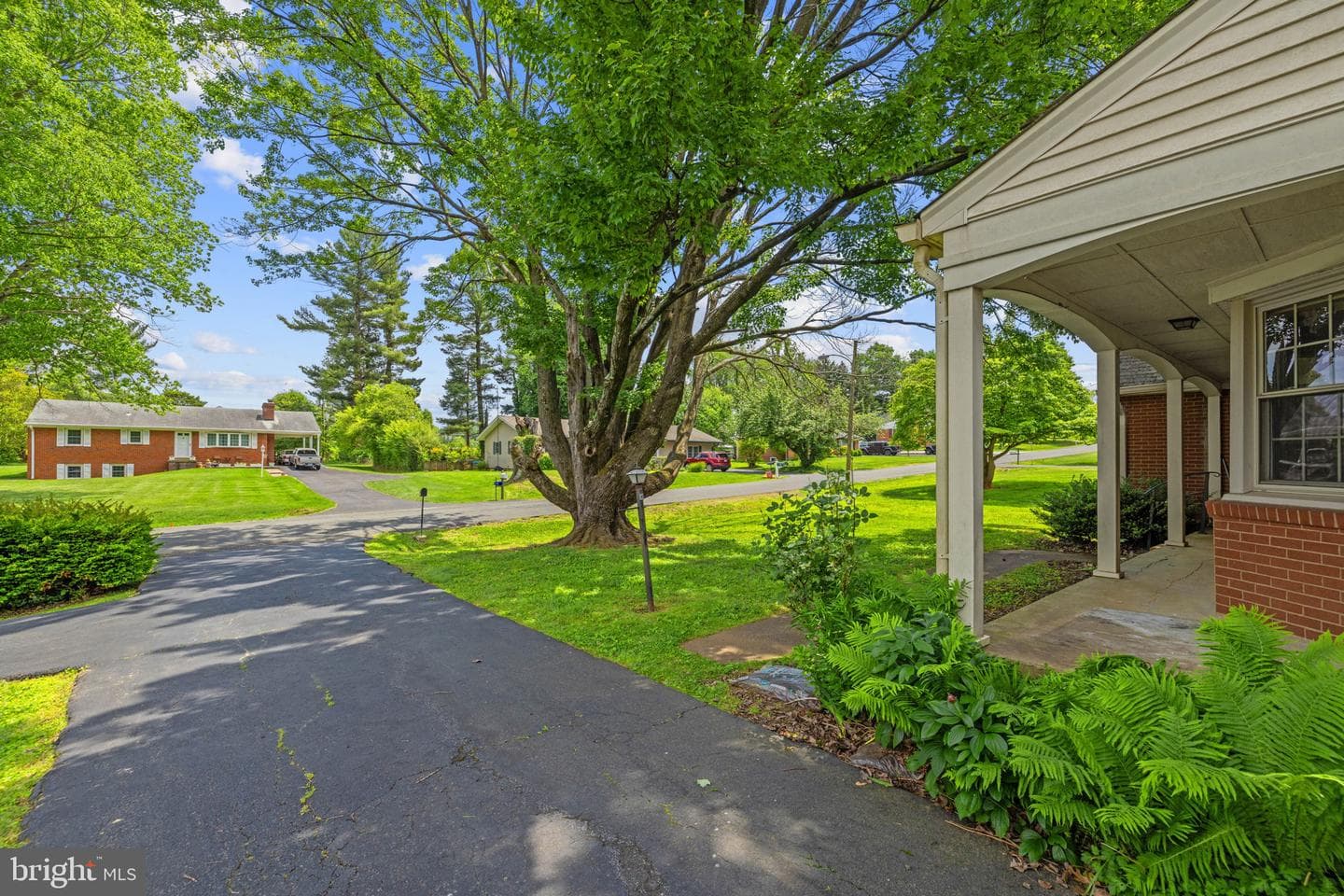 312 Norfolk Drive photo 3