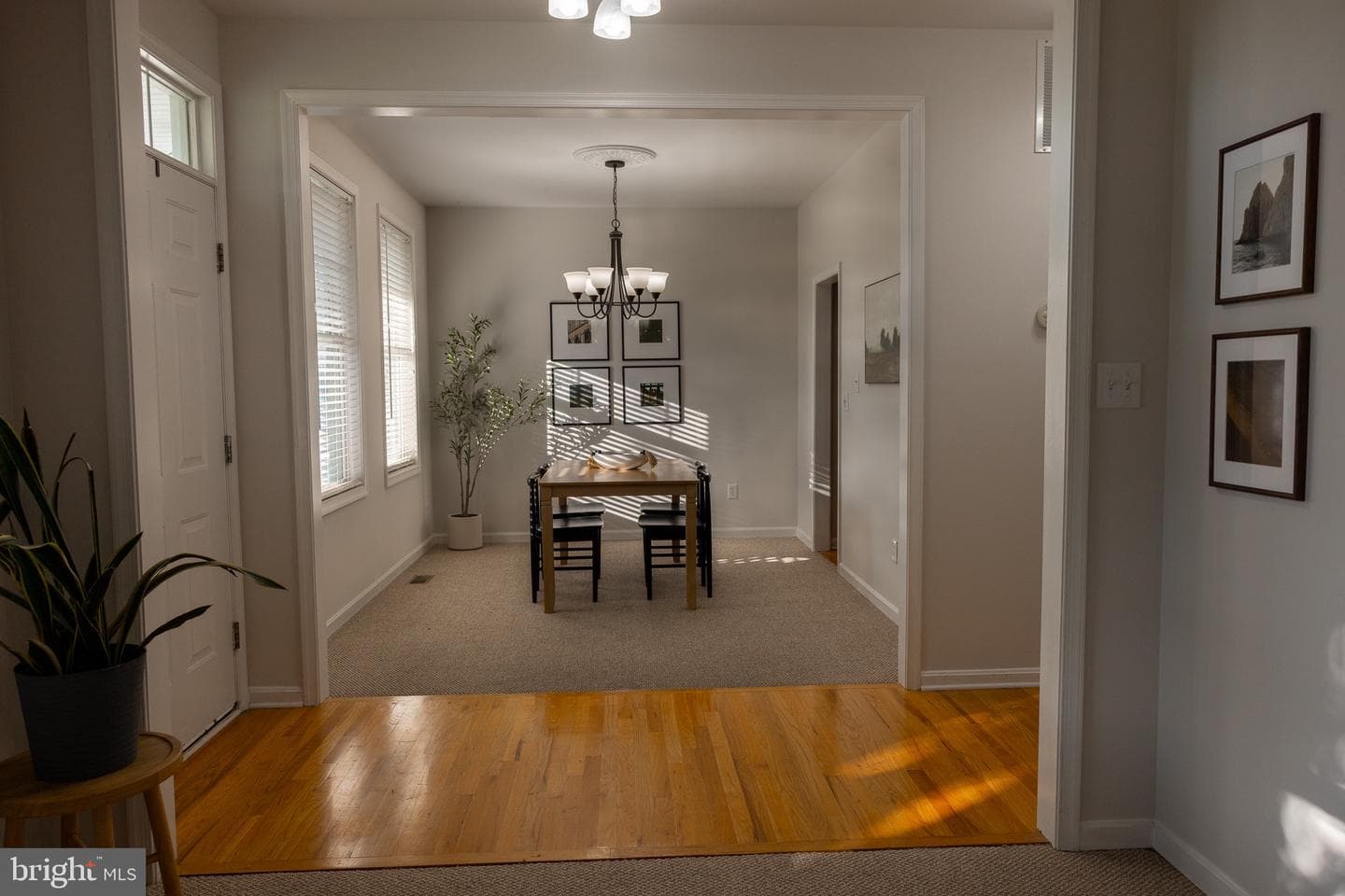 8411 Eldorado Drive photo 24