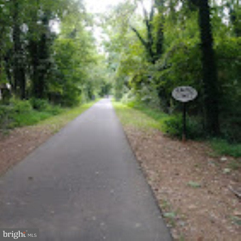 166 Elm Street photo 35