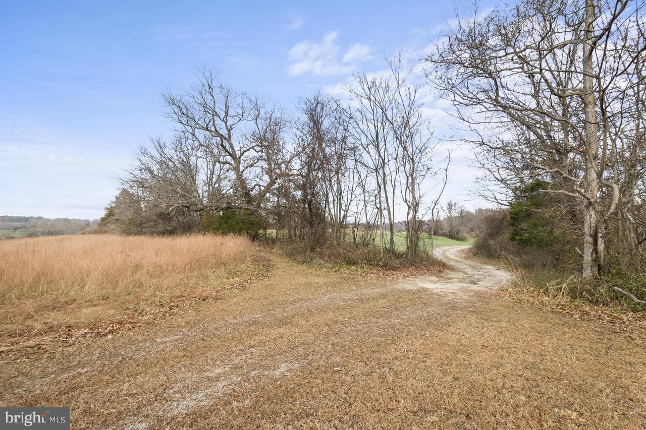 7389 Leeds Manor Road photo 8