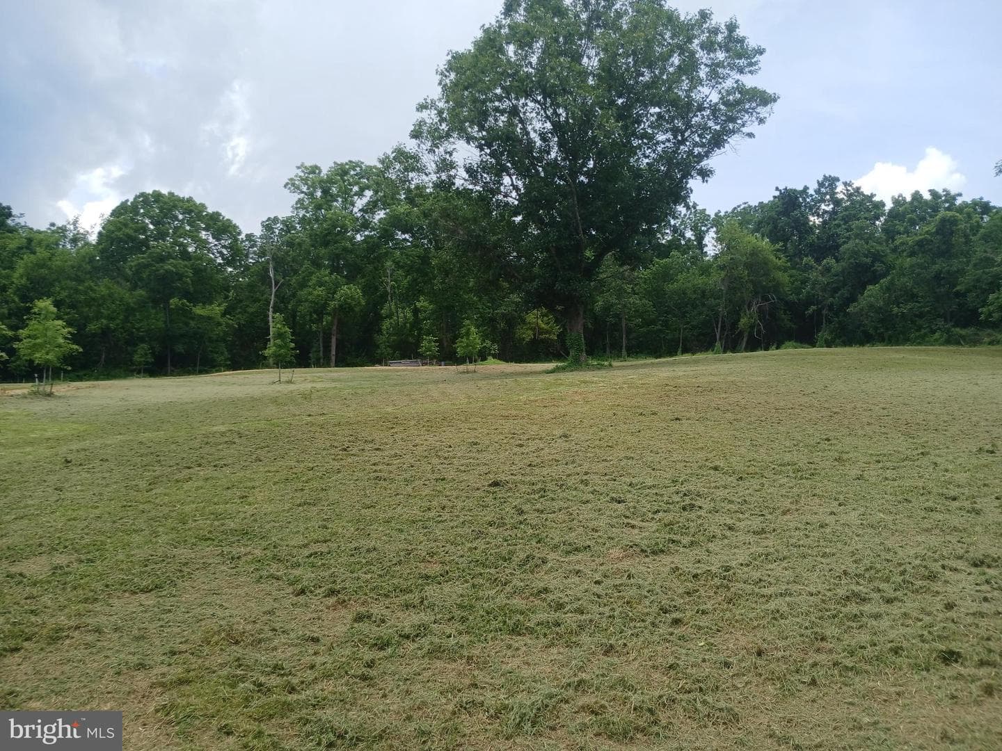 5201 Carolyns Way photo 47