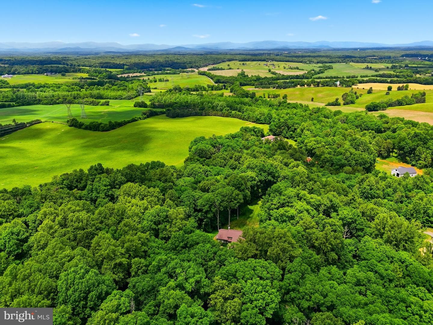 8423 Lock Lane photo 105