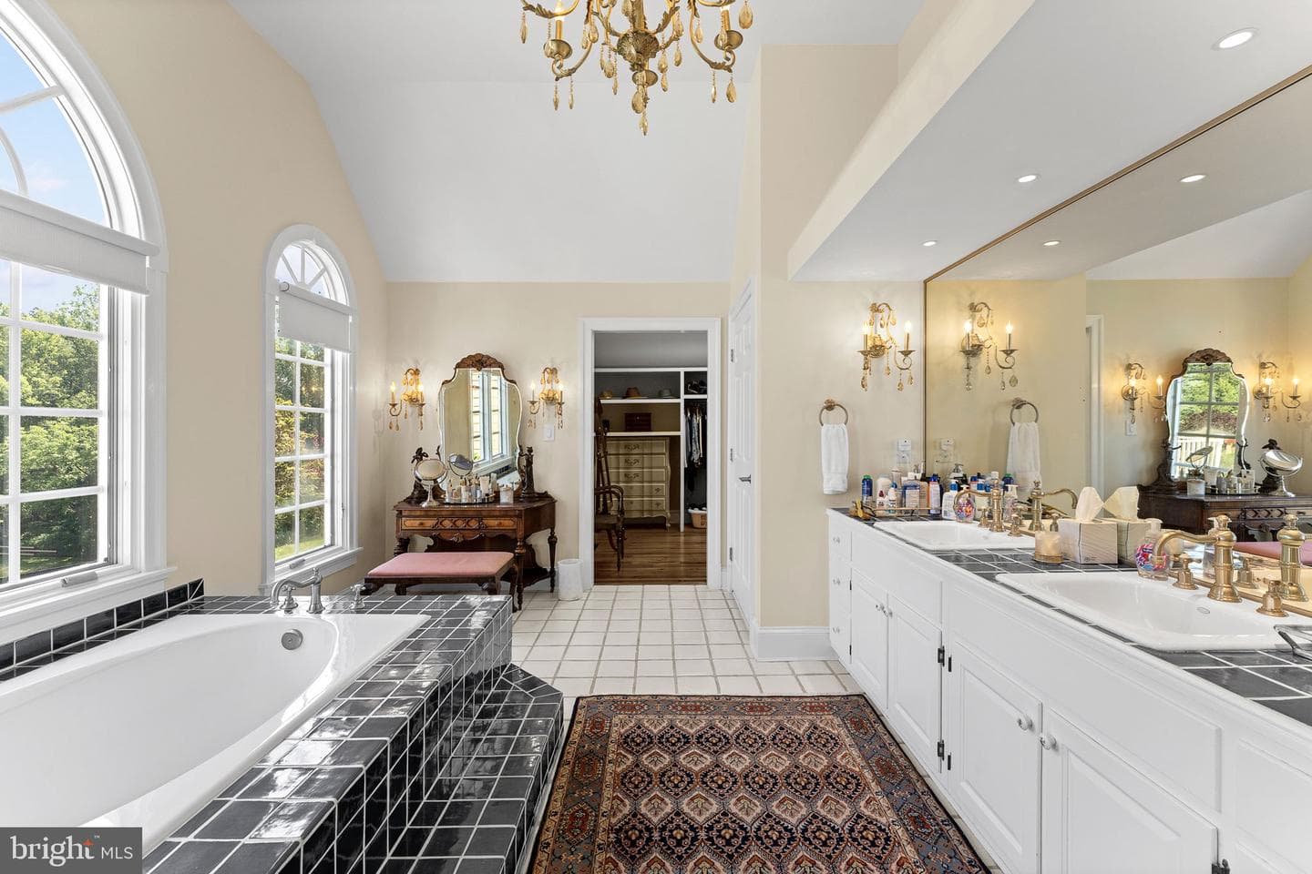 10590 Mountain Shadow Lane photo 41