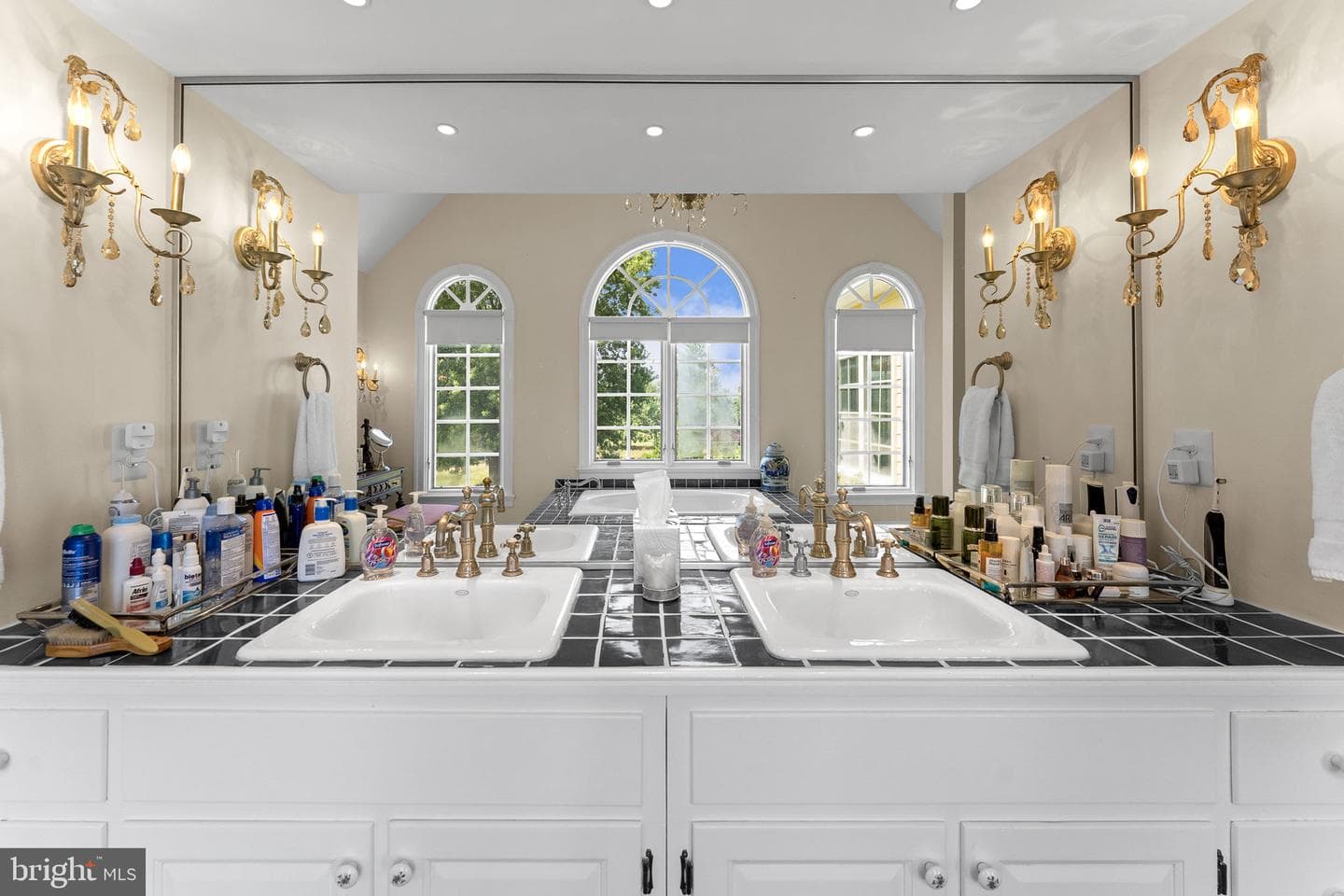 10590 Mountain Shadow Lane photo 44