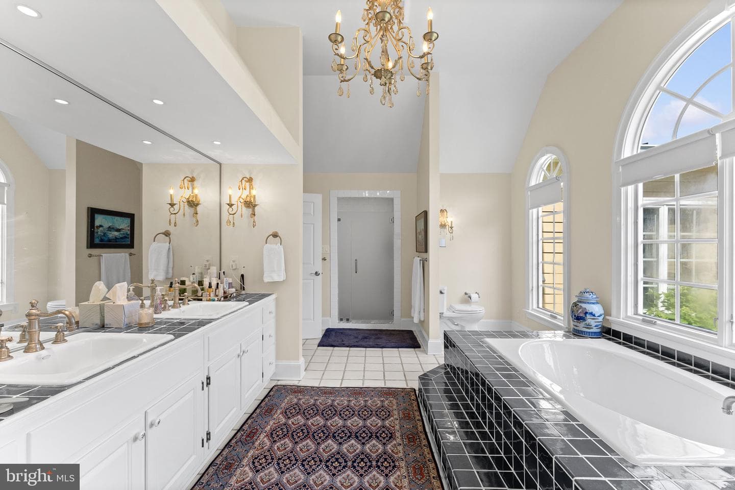 10590 Mountain Shadow Lane photo 46
