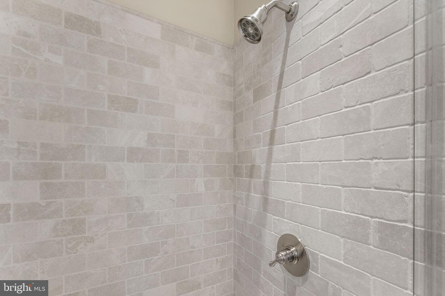 10590 Mountain Shadow Lane photo 67
