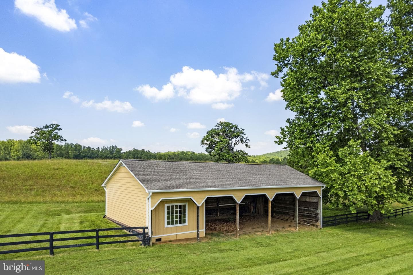 10590 Mountain Shadow Lane photo 92