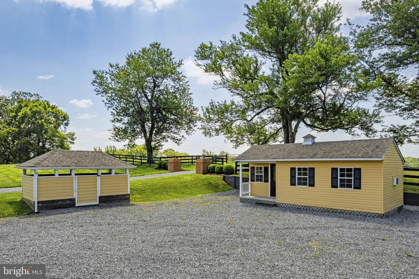 10590 Mountain Shadow Lane photo 93