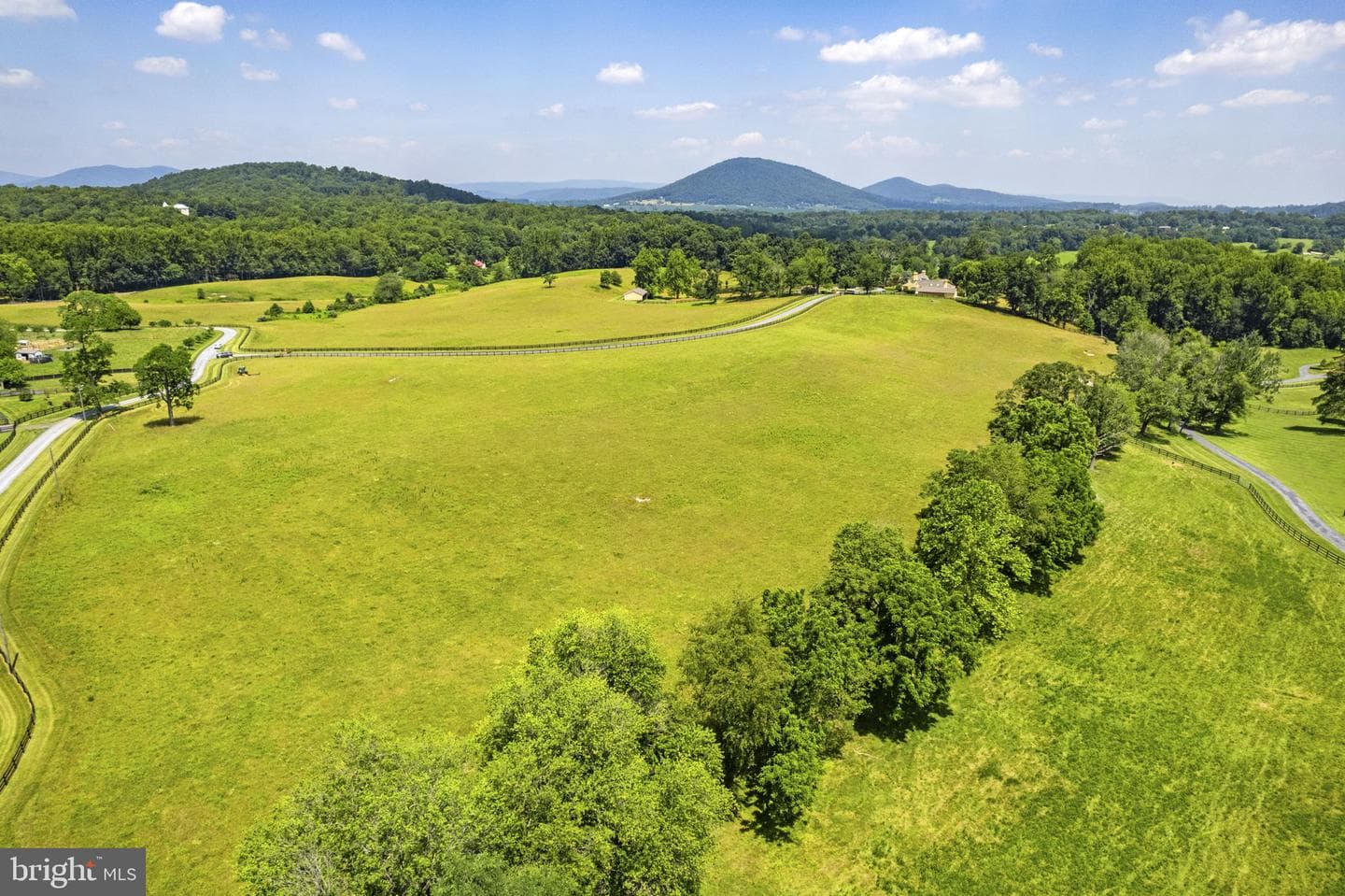 10590 Mountain Shadow Lane photo 97