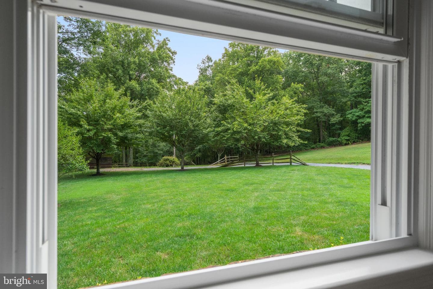 9808 Timber Heights photo 32