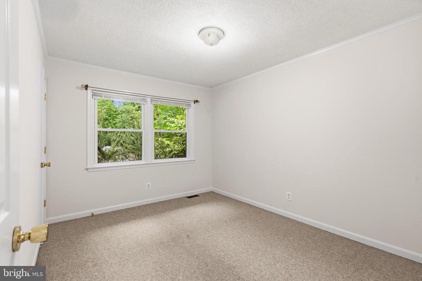9808 Timber Heights photo 41