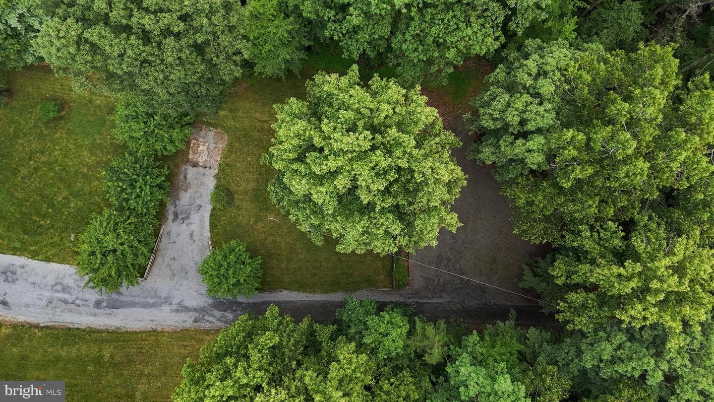 9808 Timber Heights photo 63