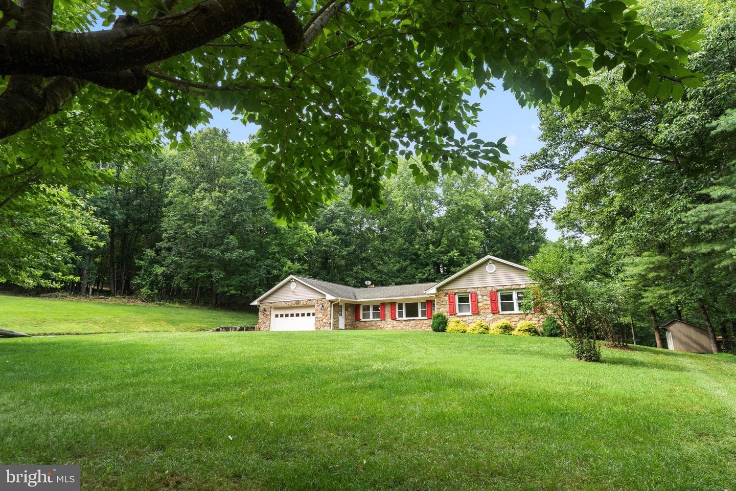 9808 Timber Heights photo 7