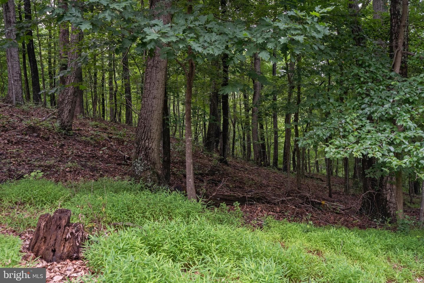 9808 Timber Heights photo 89