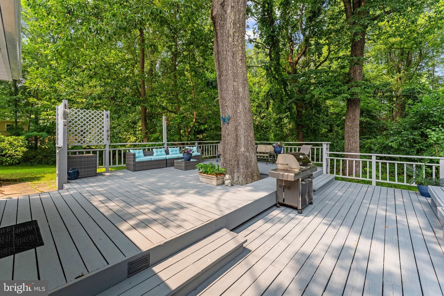 5576 Jaclyn Drive photo 8