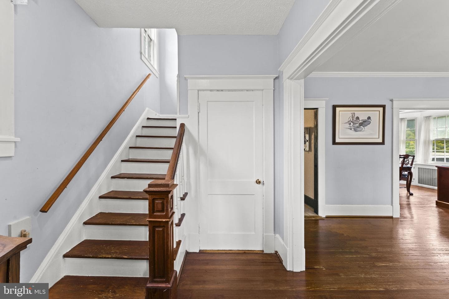 133 Waterloo Street photo 6
