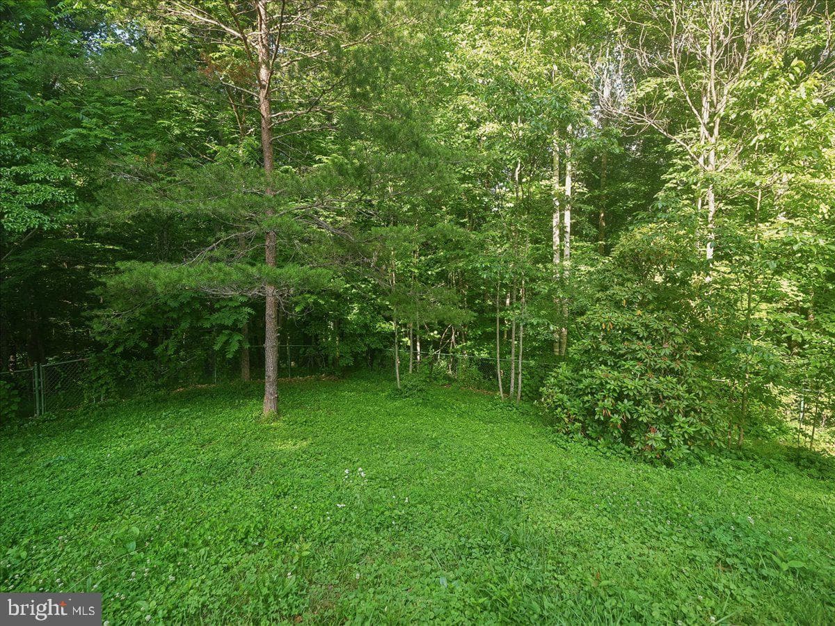 9935 Highland Drive photo 73