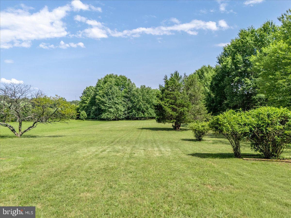 6793 Riley Road photo 53