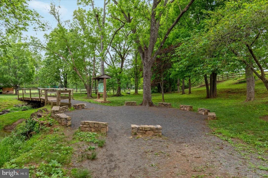61 Pepper Tree Court photo 69