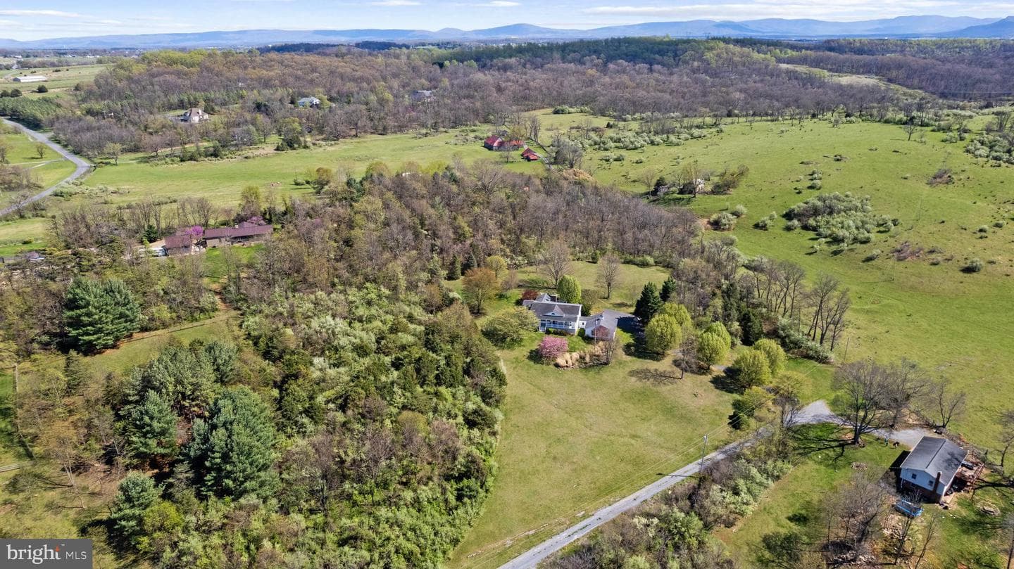 1049 Laurel Grove Road photo 35