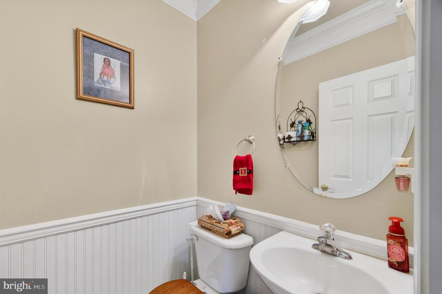 461 Skylar Lanes Way photo 31