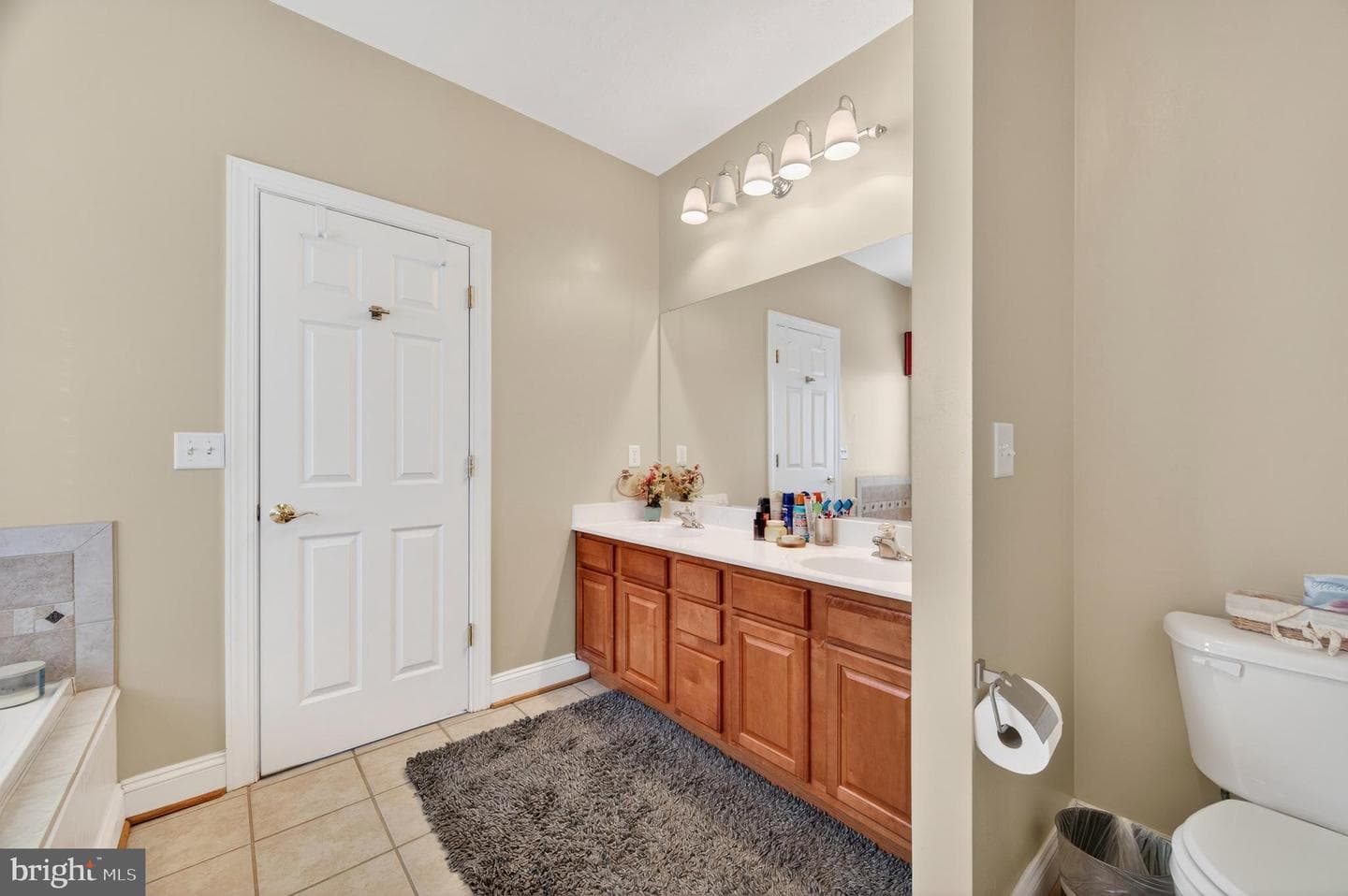 461 Skylar Lanes Way photo 39