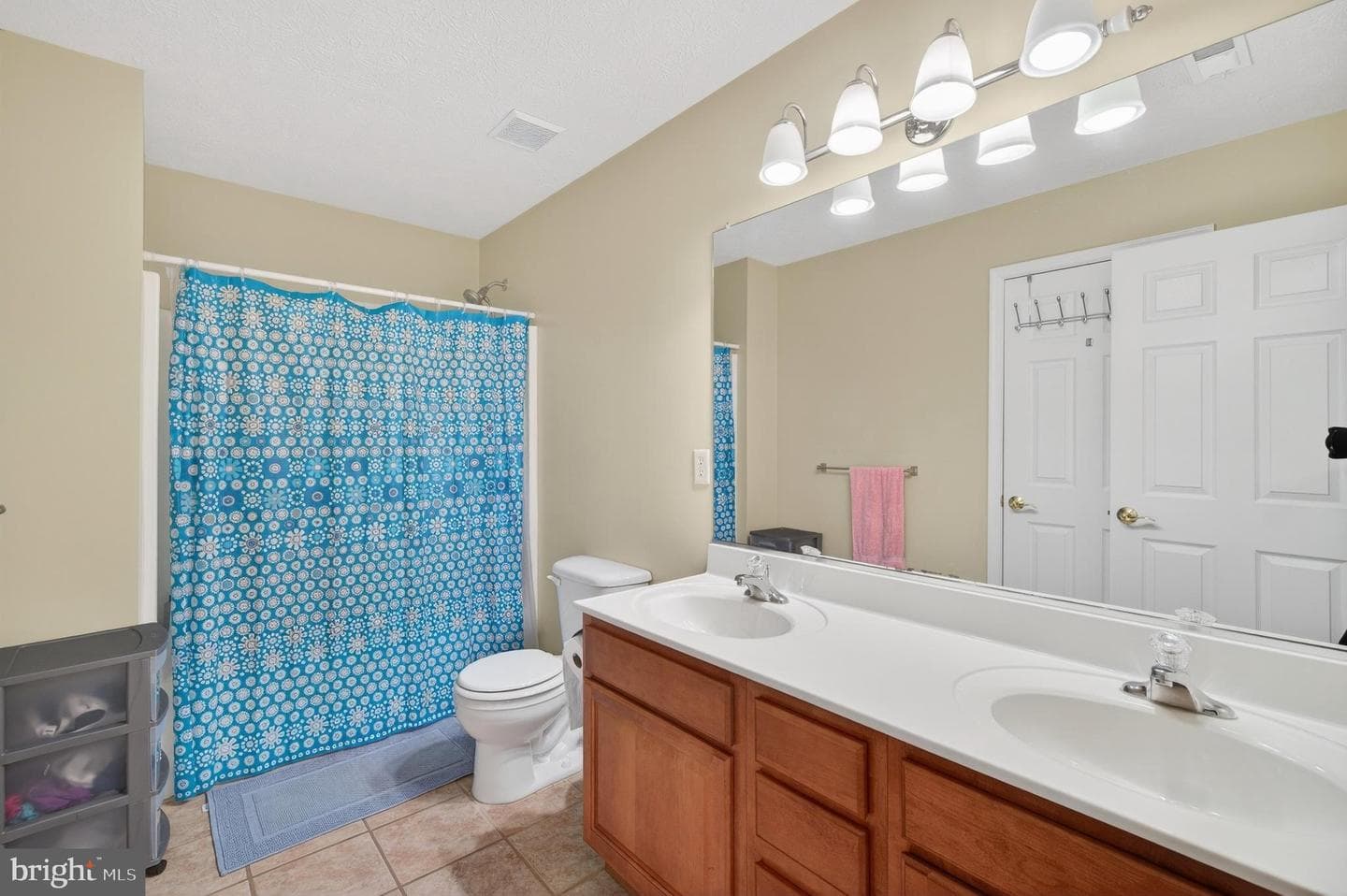461 Skylar Lanes Way photo 47