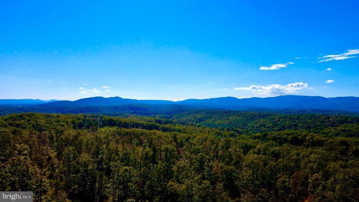 152.44 Acres Lot 2 Laurel Grove Road photo 11