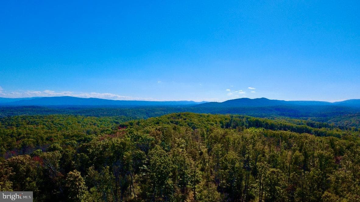 152.44 Acres Lot 2 Laurel Grove Road photo 12
