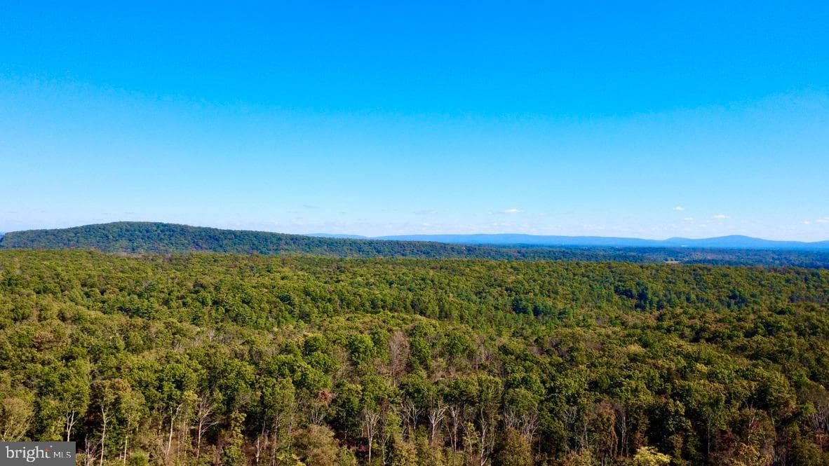 152.44 Acres Lot 2 Laurel Grove Road photo 14
