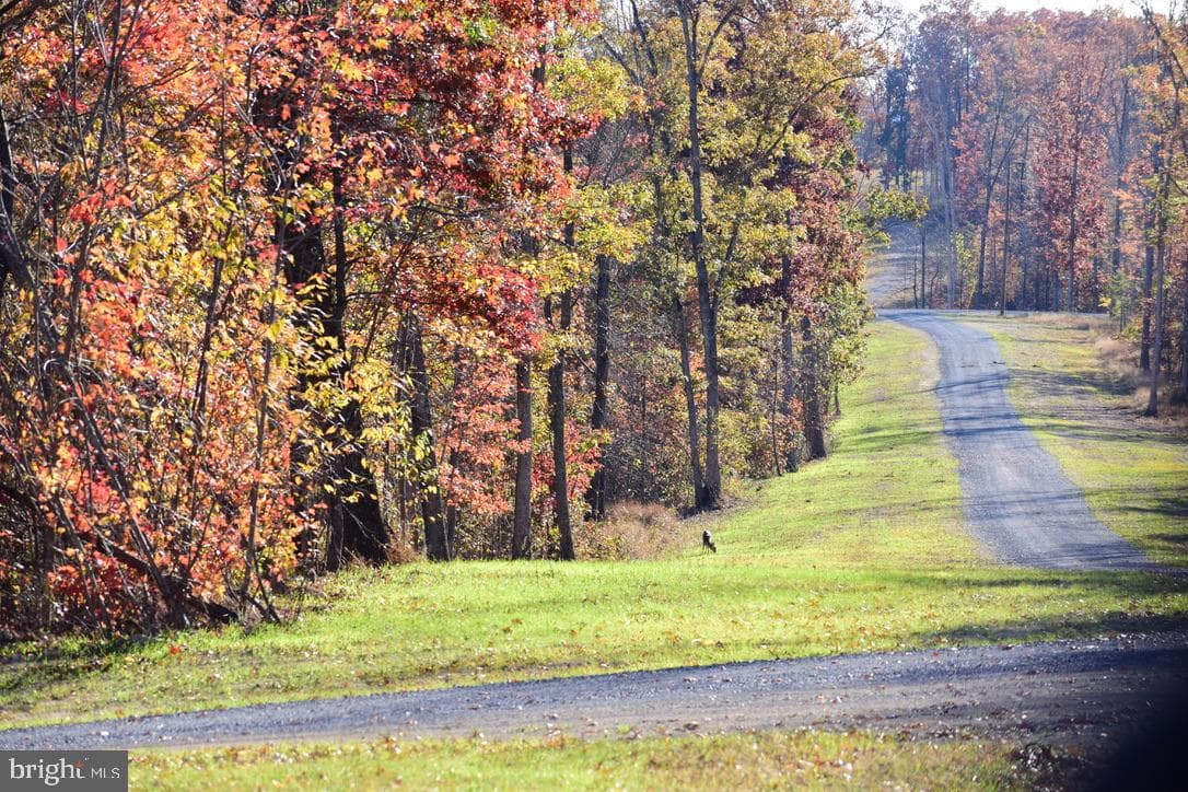152.44 Acres Lot 2 Laurel Grove Road, Winchester